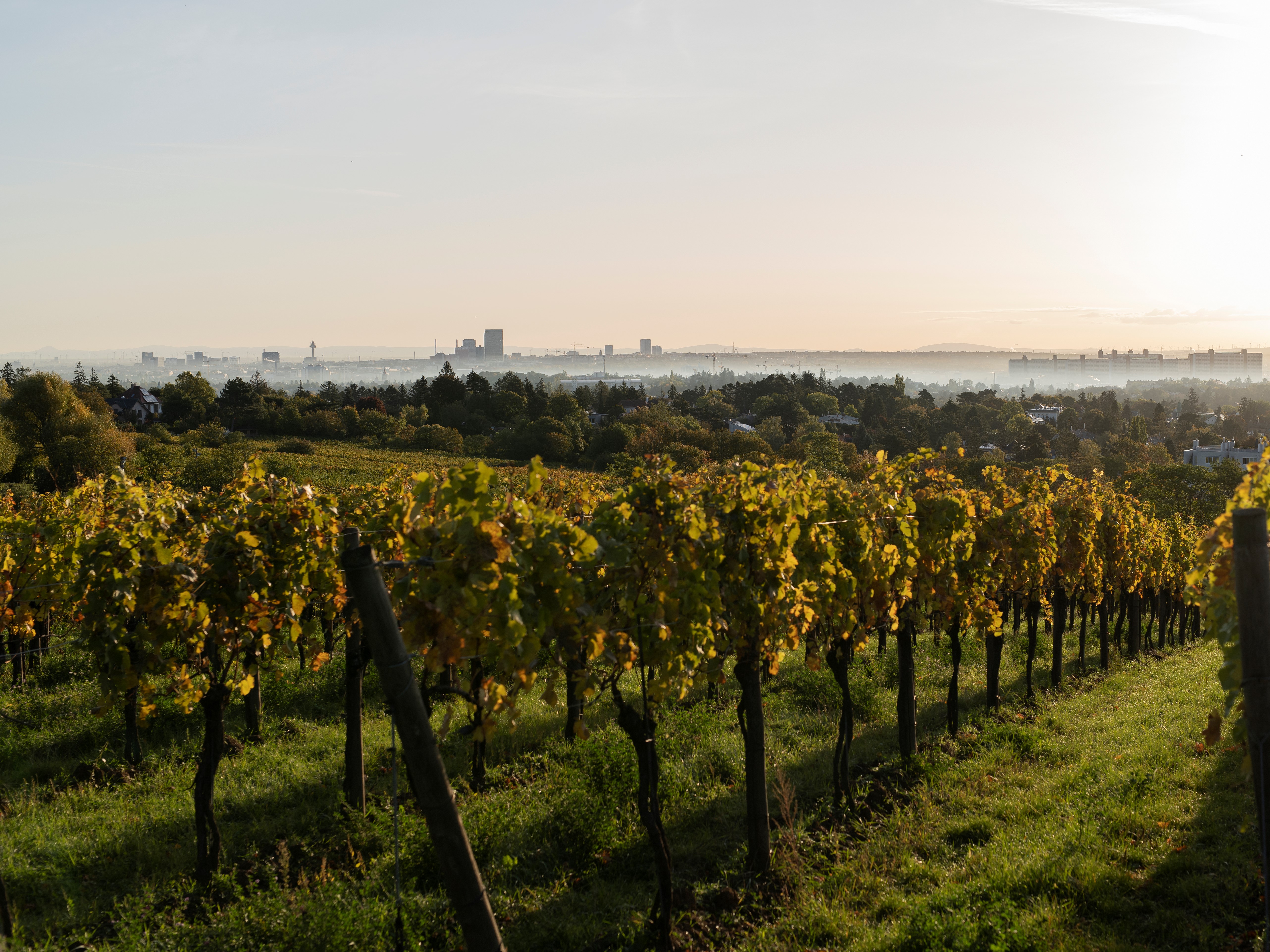 Wien