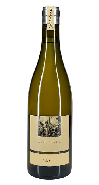 MUS 23 Grauer Burgunder