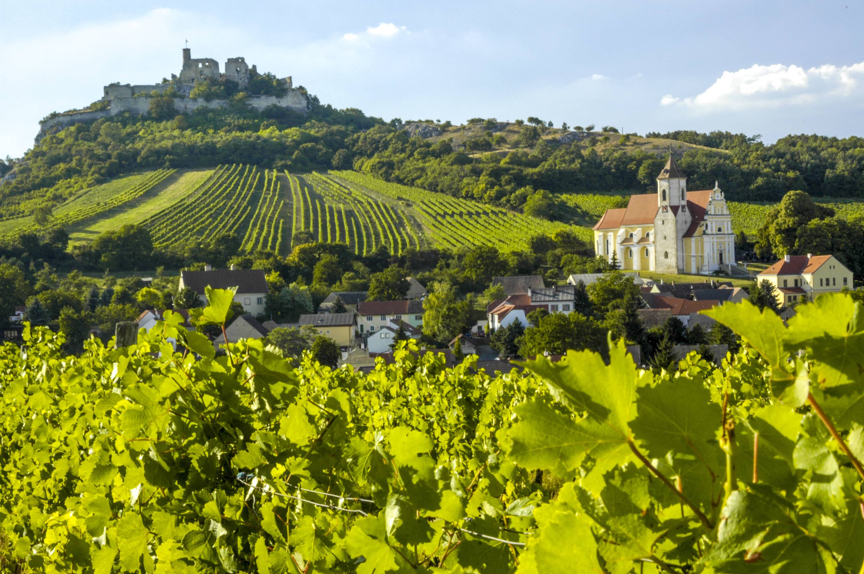 Weinviertel