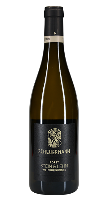 Weissburgunder Stein & Lehm Forst