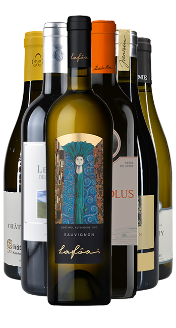 Probierpaket Festtagsweine 2025