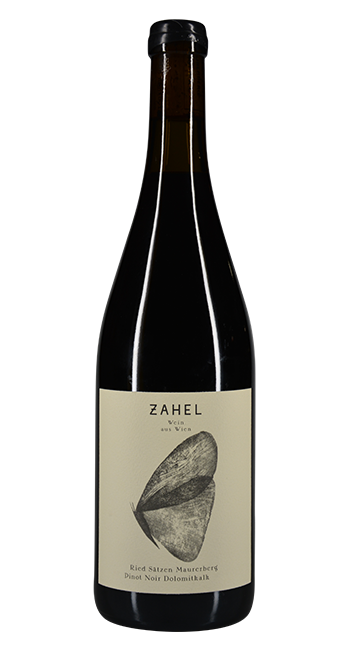 Ried Satzen Maurerberg Pinot Noir DAC - Zahel - 2019