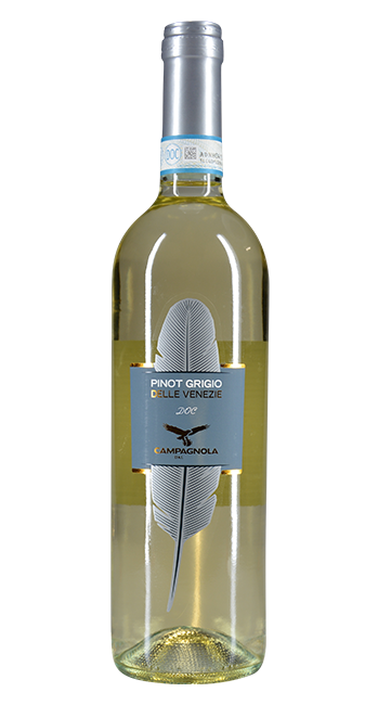Pinot Grigio