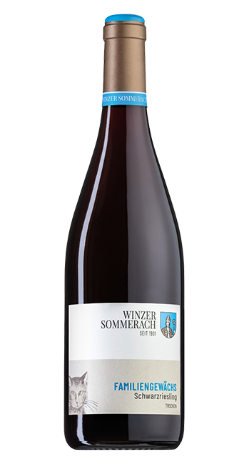 Schwarzriesling Familiengewächs