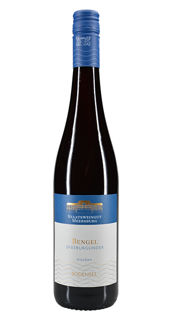 Meersburger Bengel Spätburgunder
