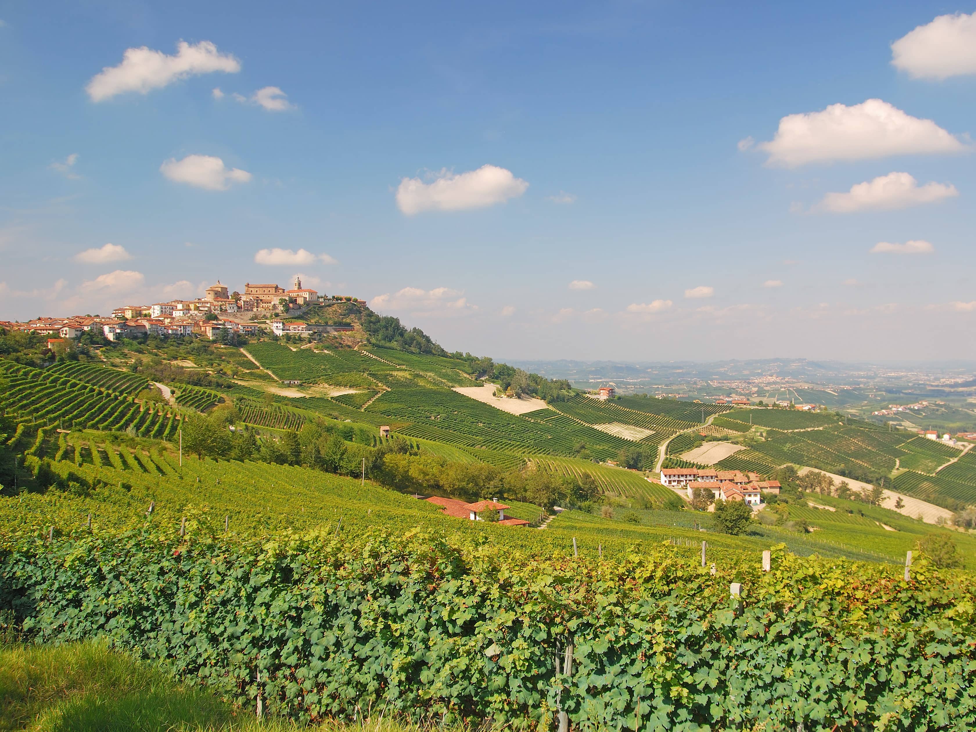 Piemont