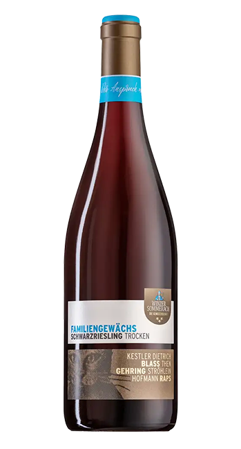 Schwarzriesling Familiengewächs