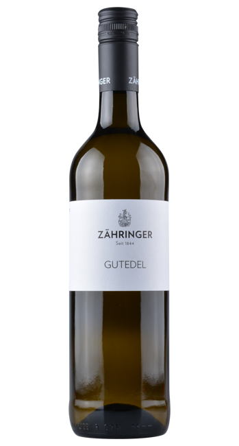 Gutedel - Zähringer - 2022