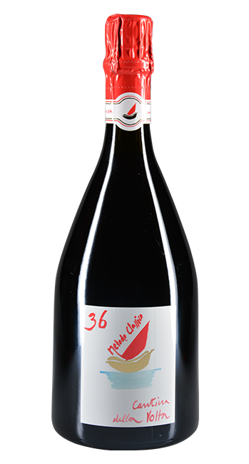 Lambrusco di Modena Trentasei Spumante Brut  - Cantina della Volta - 2015