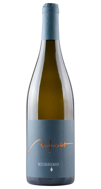 Weissburgunder 1 Lilie 