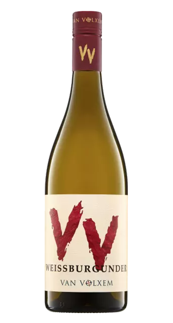 Weissburgunder VV