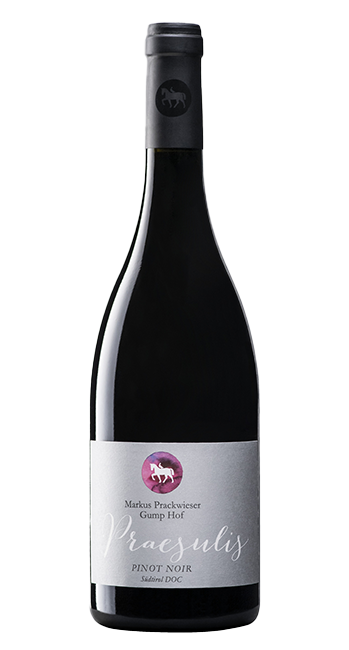 Pinot Noir Praesulis