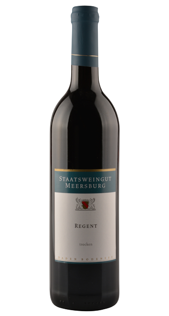 Regent Gutswein 