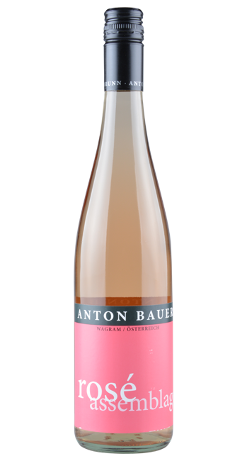 Rosé  - Anton Bauer - 2021