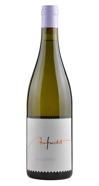 Weissburgunder 
