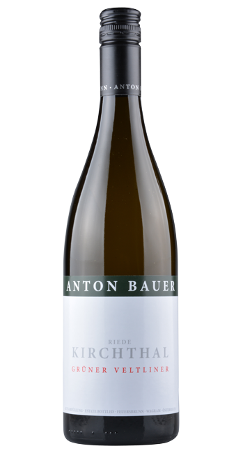 Ried Kirchthal Grüner Veltliner  - Anton Bauer - 2021