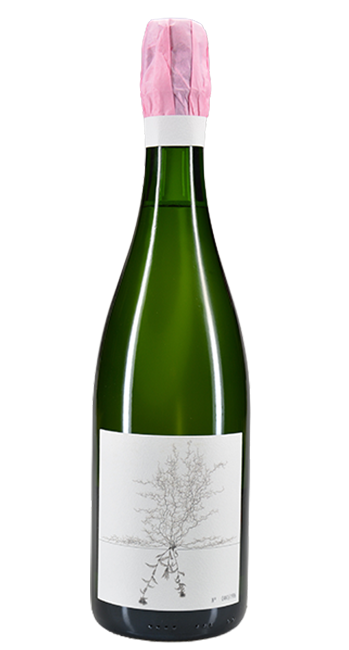 Blanc de Blancs Brut Nature Johannes Aufricht