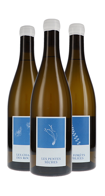 Weinpaket Hunter/McKirdy - Weißweine 2023