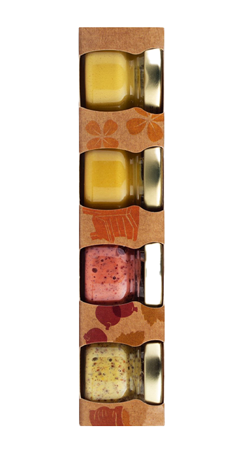 Moutard de Dijon 4 x 25g