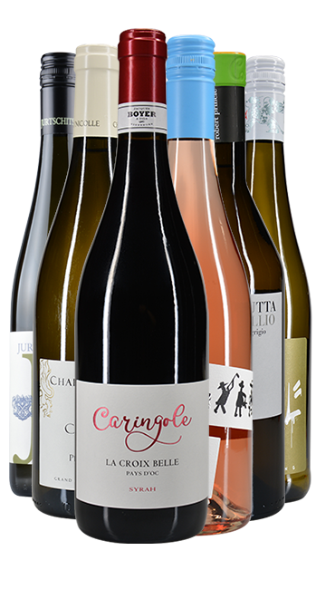 Probierpaket Sommer 2.0 Probierpaket Sommer 2.0