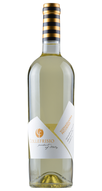 Vignaquadra Pecorino  - Collefrisio - 2022