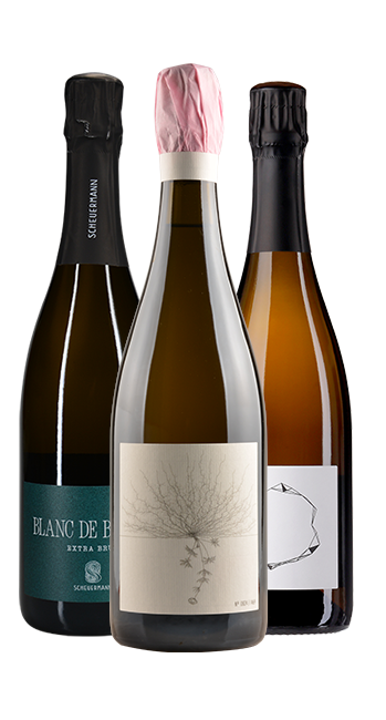 Probierpaket Winzersekt Zwei (inkl. Blanc de Blancs Brut Nature Johannes Aufricht) Probierpaket Winzersekt Zwei (inkl. Blanc de Blancs Brut Nature Johannes Aufricht)