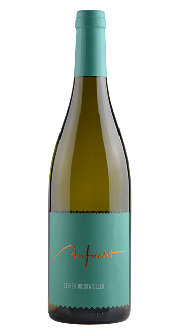 Gelber Muskateller Gelber Muskateller