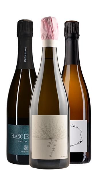 Probierpaket Winzersekt Eins (inkl. Blanc de Blancs Brut Nature Johannes Aufricht) Probierpaket Winzersekt Eins (inkl. Blanc de Blancs Brut Nature Johannes Aufricht)