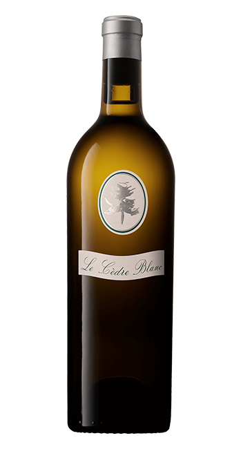 Le Cèdre BLANC
