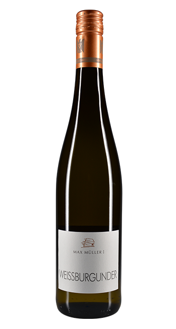 Weißburgunder 