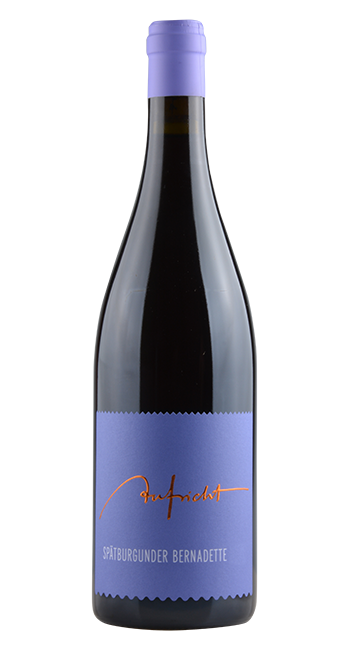 Spätburgunder Bernadette 