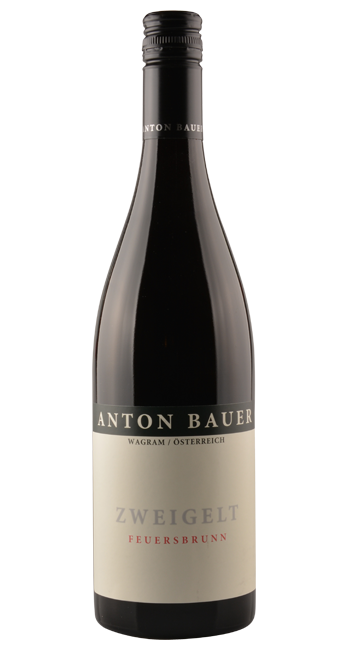 Zweigelt | Rotwein Anton Feuersbrunn Bauer