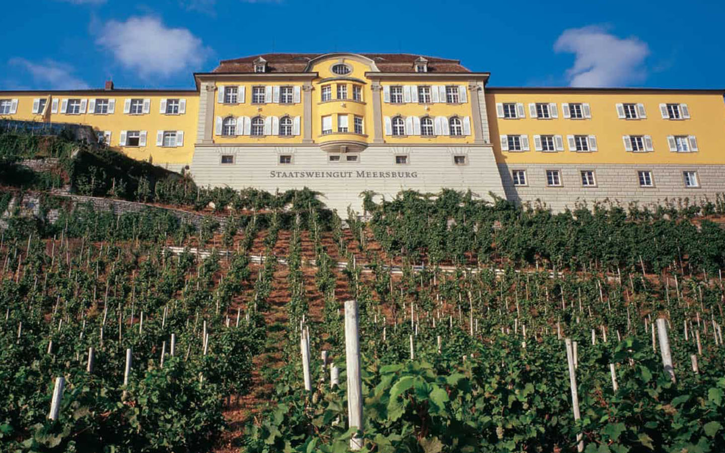 Staatsweingut Meersburg
