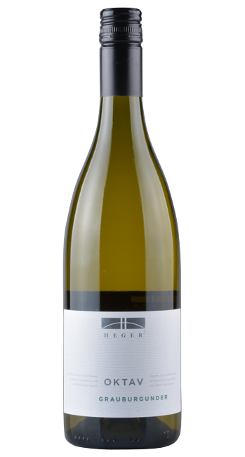 Oktav - Grauer Burgunder
