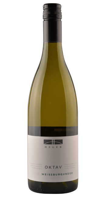 Oktav - Weissburgunder