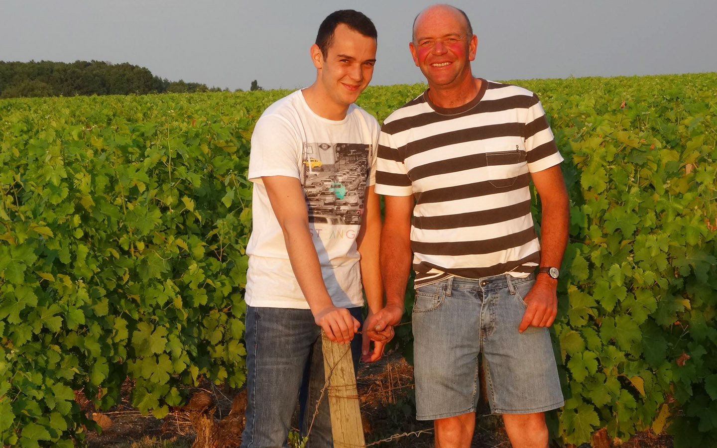 Domaine des Corbillières