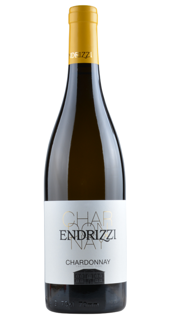 Chardonnay - Endrizzi - 2023