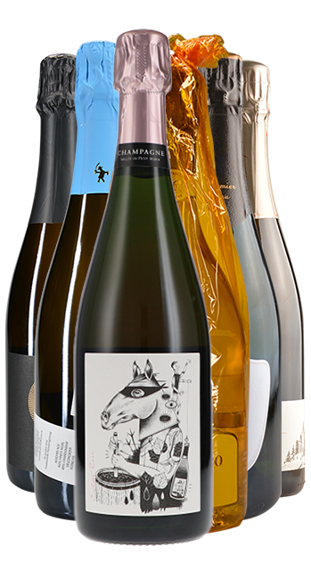 Probierpaket Schaumwein 2025