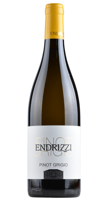 Pinot Grigio - Endrizzi - 2022