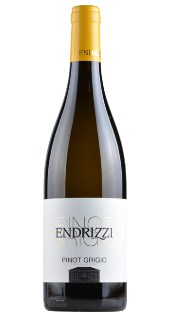 Pinot Grigio