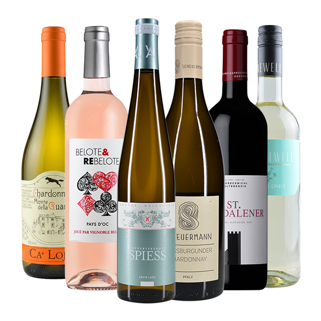 Probierpaket Sommer 2026