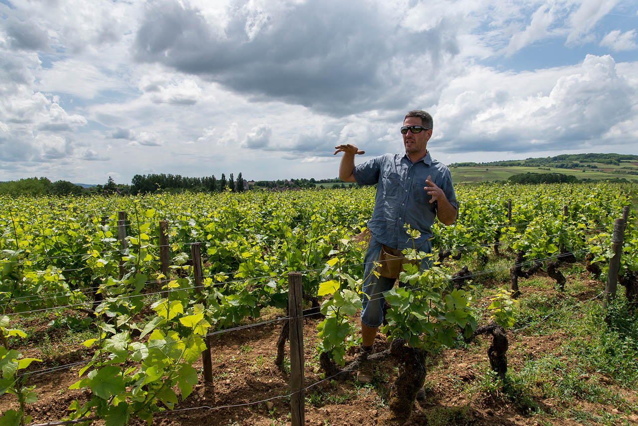 Domaine Chevrot et Fils