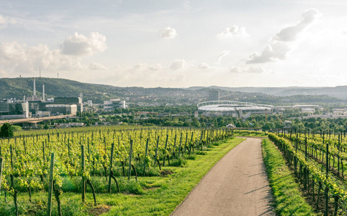 Weinmanufaktur Untertürkheim