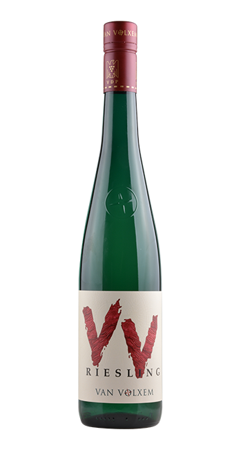 Riesling VV Feinherb - Van Volxem - 2021