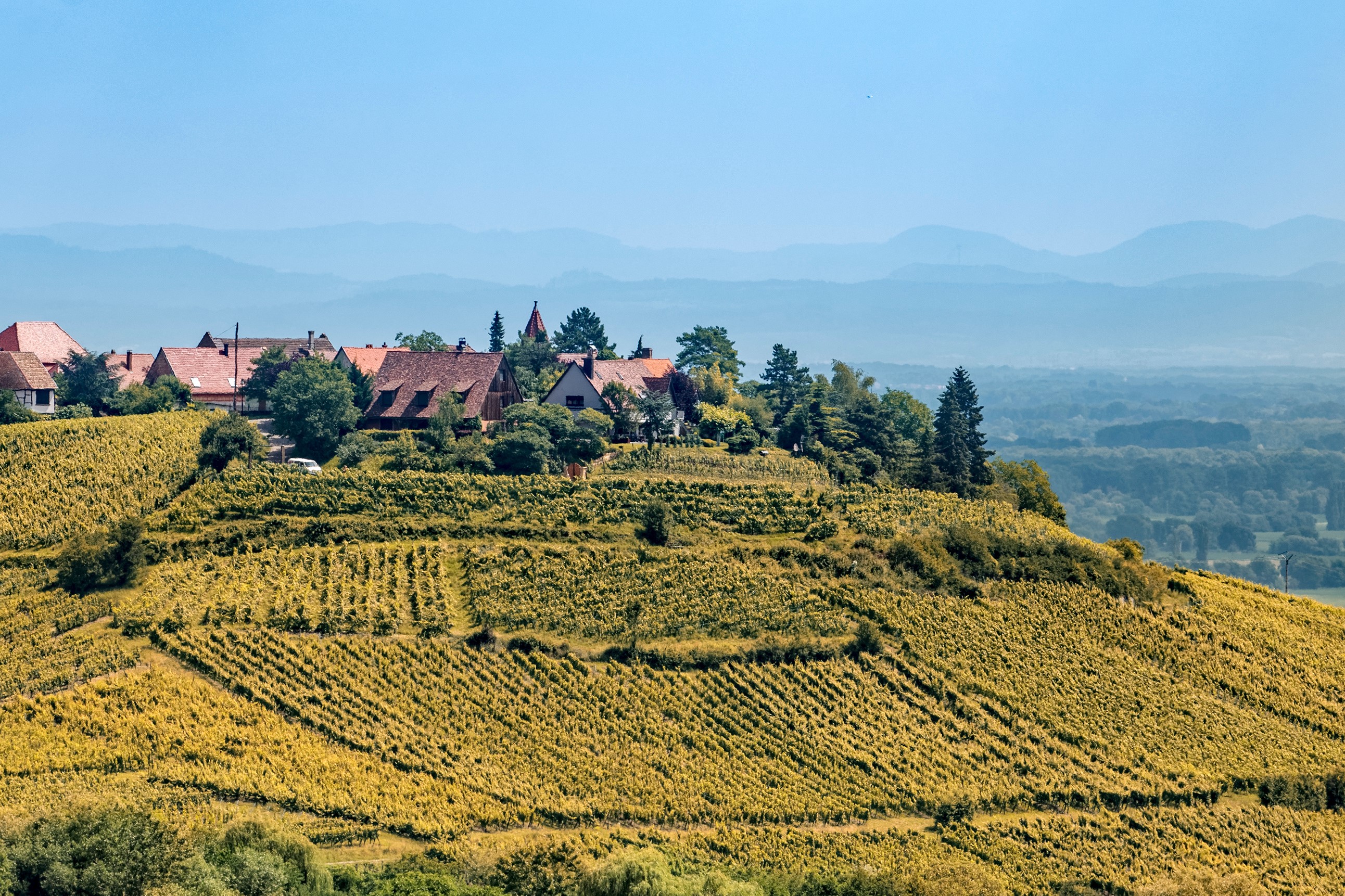 Elsass