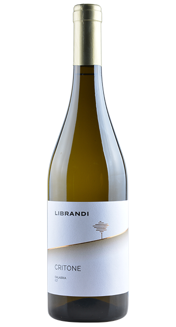 Critone Bianco