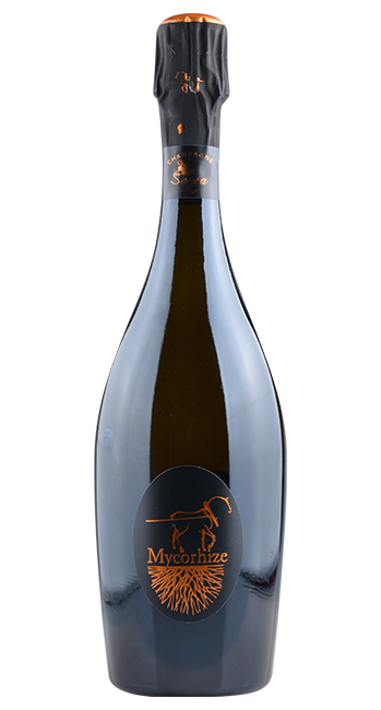 Blanc de Blancs Mycorhize Extra Brut Grand - De Sousa et Fils - 2017