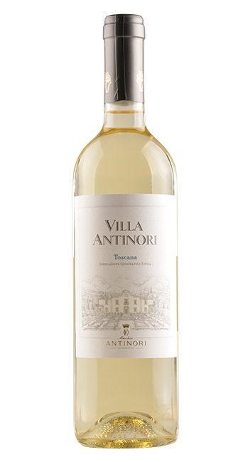 Weißweincuvée Villa Antinori Bianco | Antinori