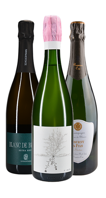 Probierpaket Winzersekt Zwei (inkl. Blanc de Blancs Brut Nature Johannes Aufricht)