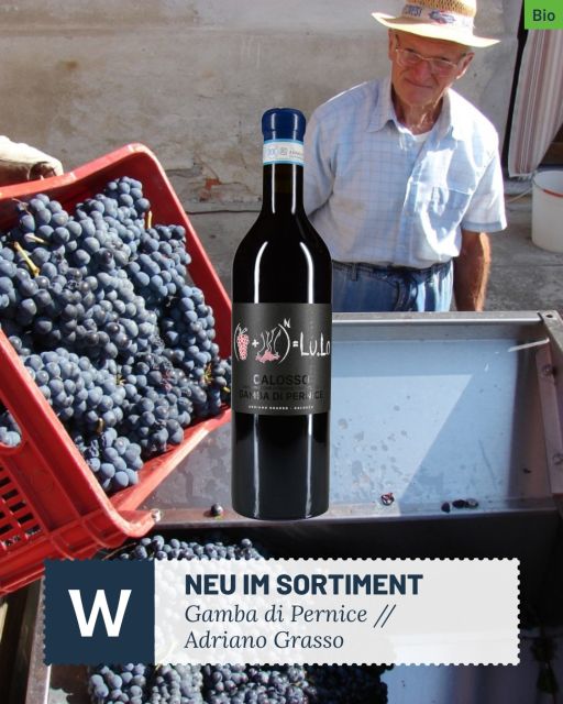 2caebbf0f3e7c1f198190ff058075c45